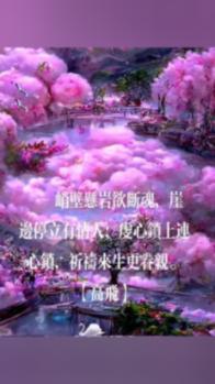 雅乐之舞花，用什么肥比较好？